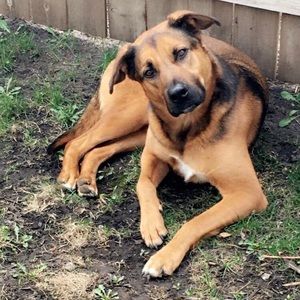 Meet your Posher, Kristina